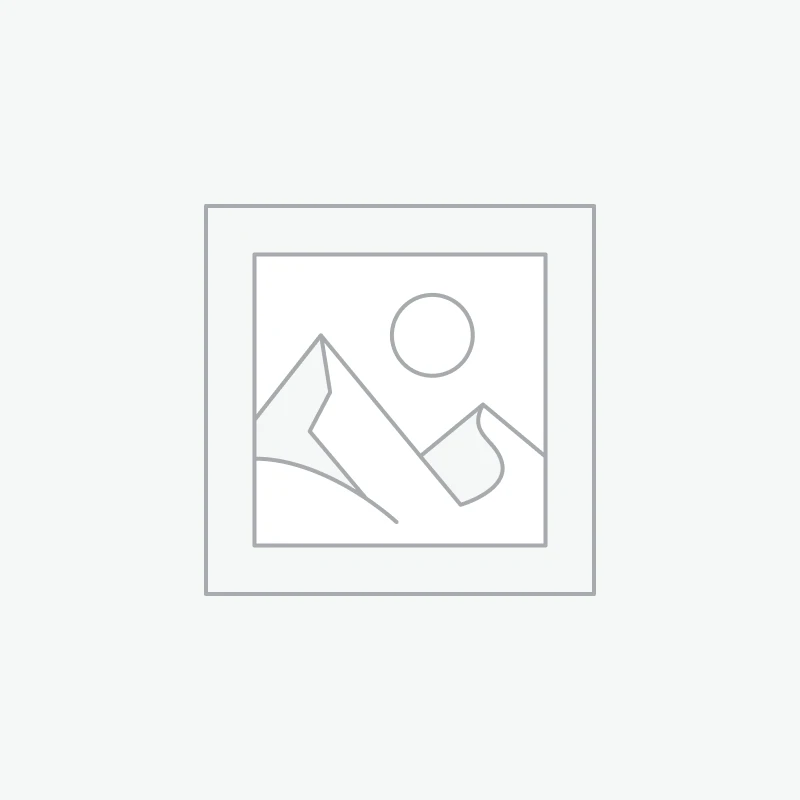 Taladros y Rotomartillos